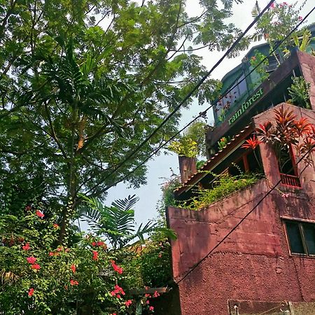 Rainforest Bed & Breakfast 吉隆坡 外观 照片