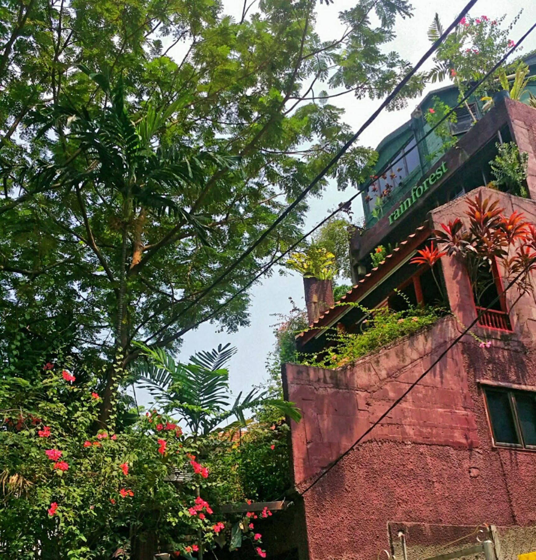 Rainforest Bed & Breakfast 吉隆坡 外观 照片
